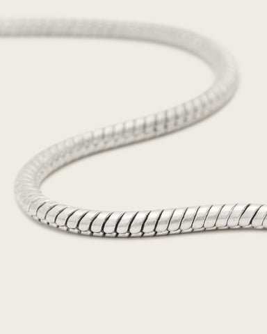 Arbner Skinny Chain Necklace